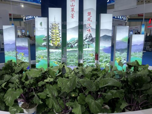 听说这里可以一站式买齐全国各地的农特产