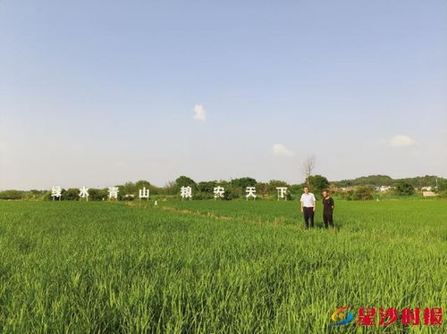 做好 五篇大文章 书写服务高质量发展 星 答卷