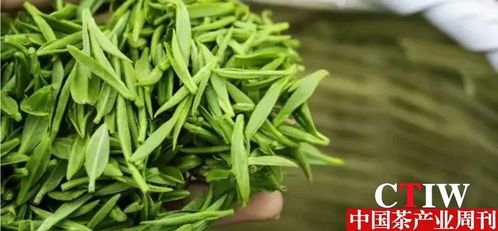 扬州市推动茶产业高质量发展