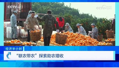 经济半小时 里的农夫山泉 一家企业何以成为产业 压舱石