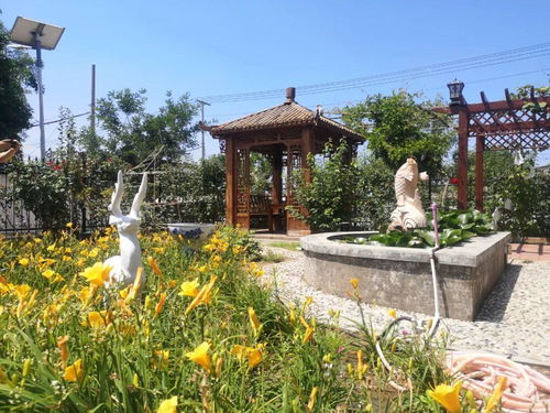 美丽庭院 上新 唐山11个