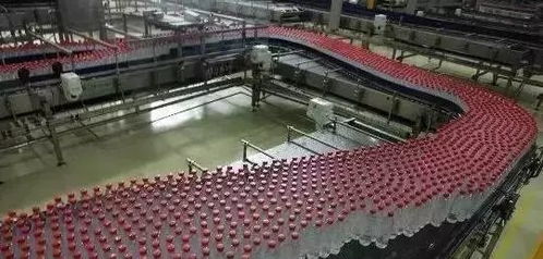 暑期公益夏令营之四 穿越千岛湖 拯救白天鹅 二日营