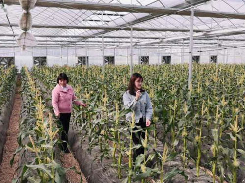 我在富春山乡有个家 灵动之桥.礼仪之源 小源人家等您来