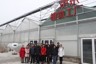 步履不停,学无止境 中农富通到京东植物工厂参观学习 感受非农企业的水培蔬菜工厂