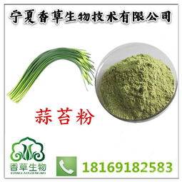 蒜苔价格 型号 图片