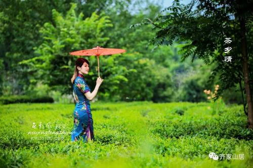 游记 麻城齐家山居,游山悟农趣,品茶学诗人